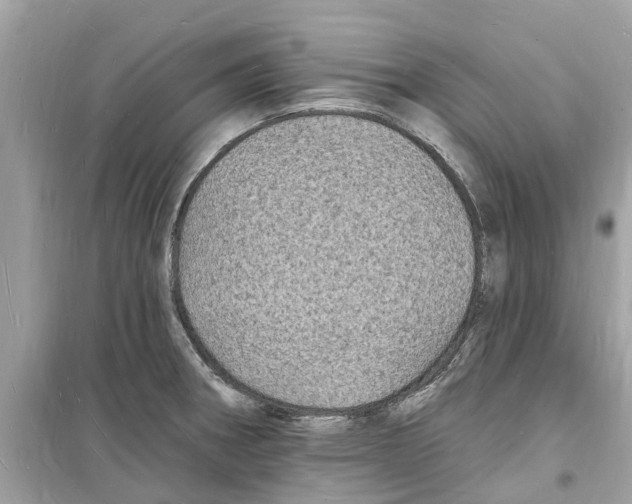 X0000098231282200805221702