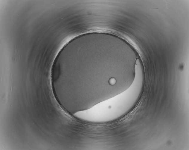 X0000098231283200805221702