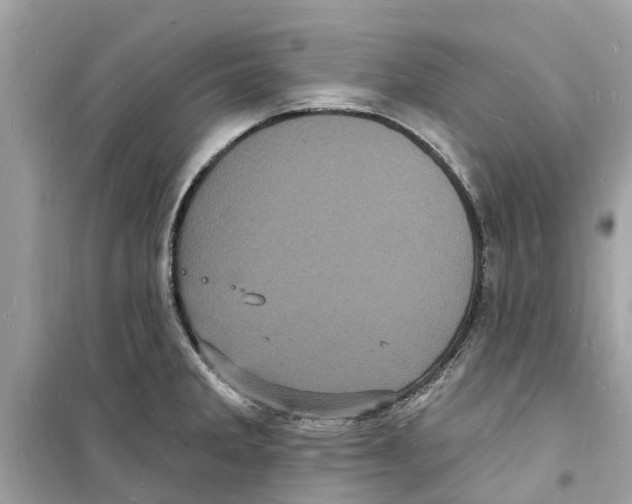 X0000098231285200805221702