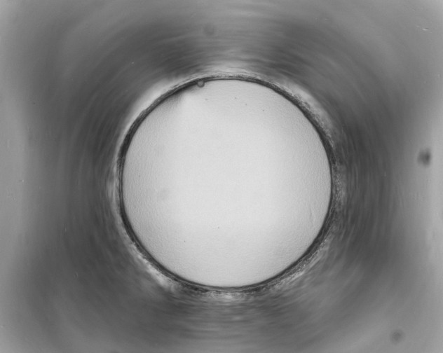 X0000098231286200805221702