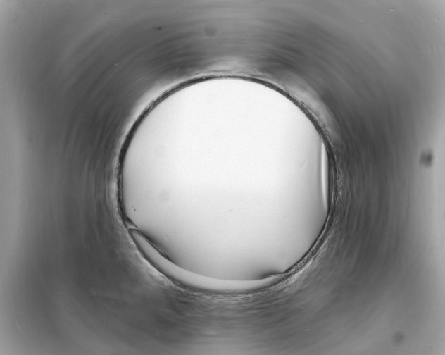 X0000098231288200805221702