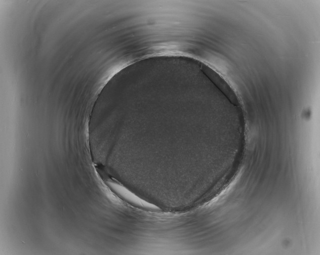 X0000098231289200805221702