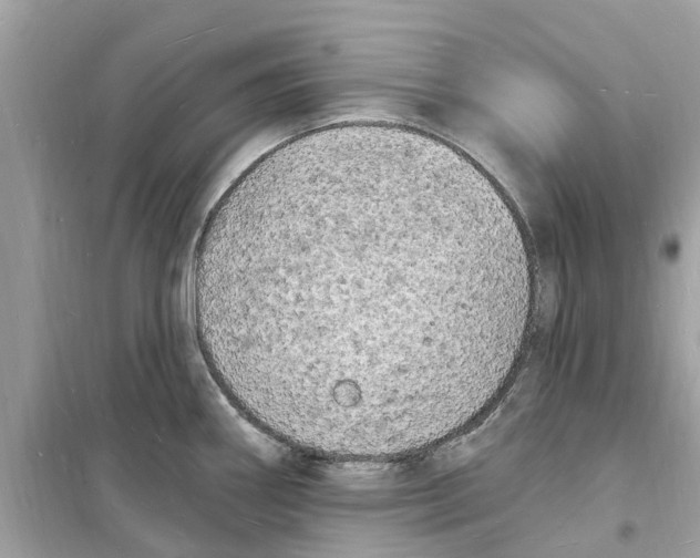 X0000098231290200805221702