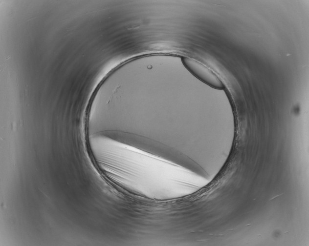 X0000098231291200805221702