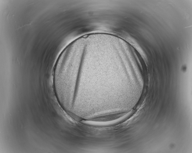 X0000098231292200805221702