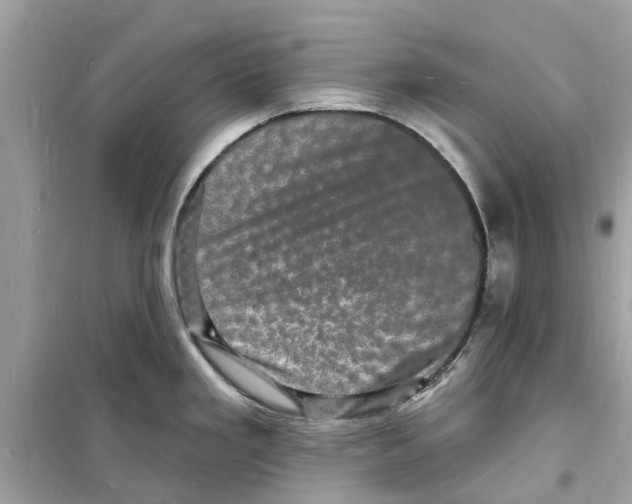 X0000098231293200805221702