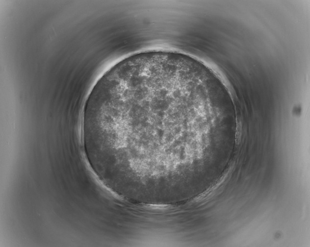 X0000098231295200805221702