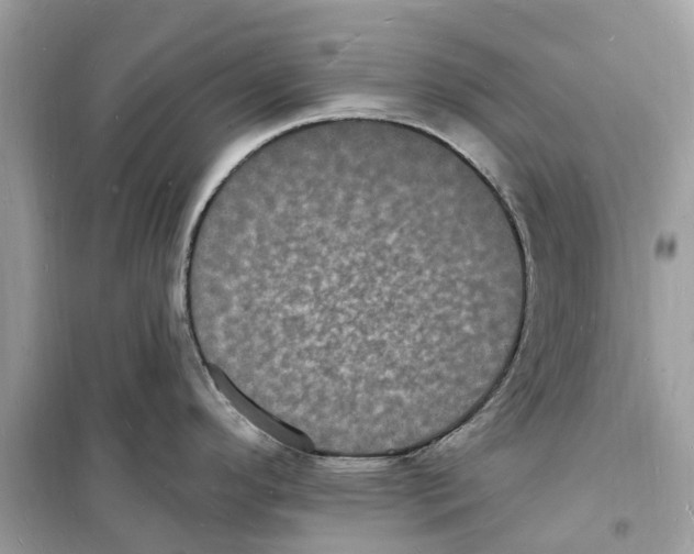 X0000098231296200805221702