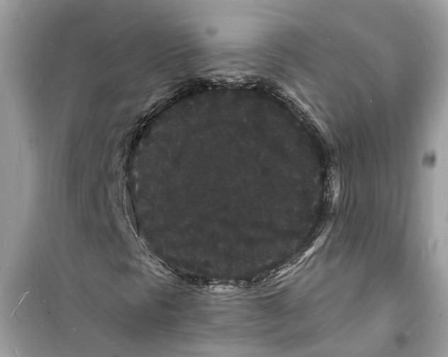 X0000098231297200805221702