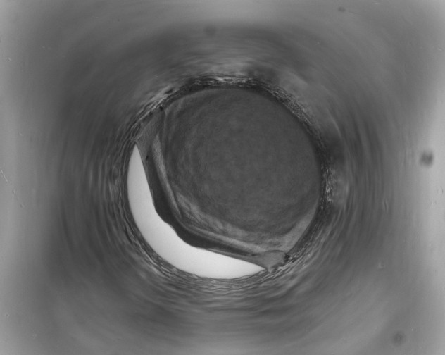 X0000098231298200805221702