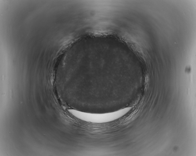 X0000098231300200805221702