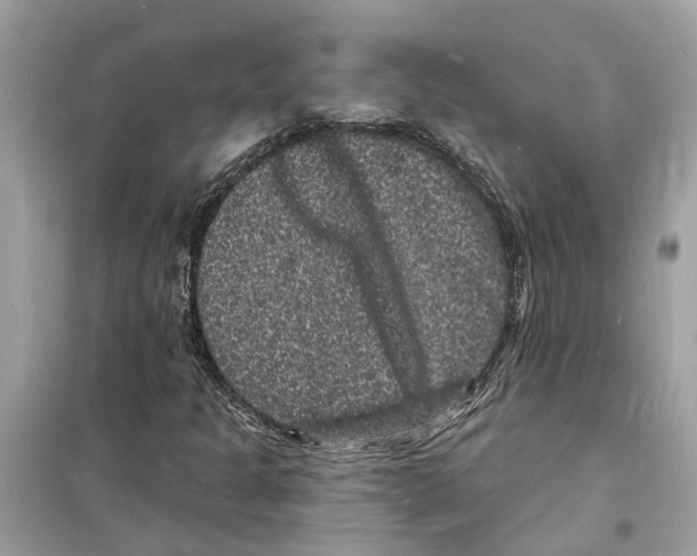 X0000098231301200805221702