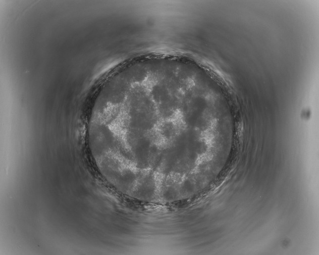 X0000098231302200805221702