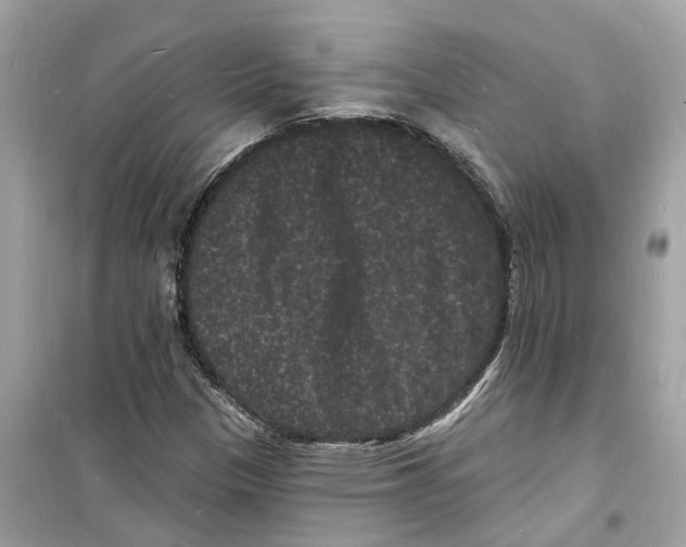 X0000098231305200805221702