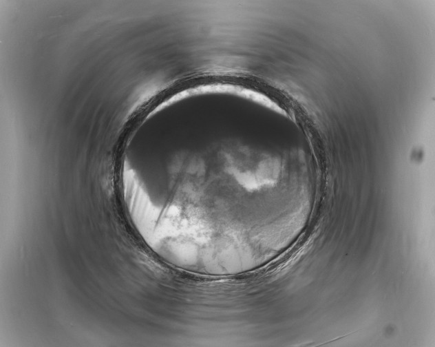 X0000098231306200805221702