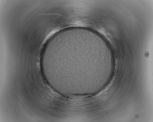 X0000098231307200805221702