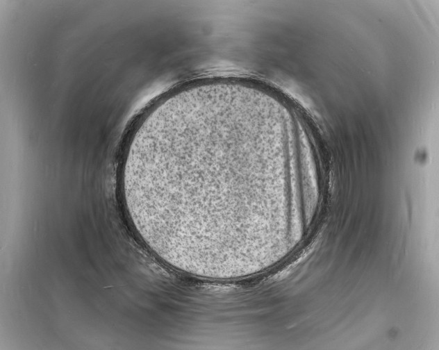 X0000098231309200805221702