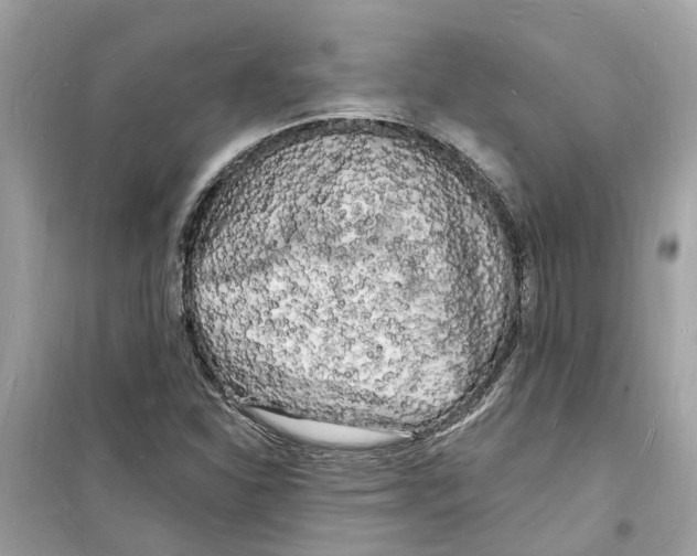 X0000098231310200805221702