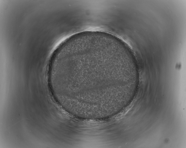 X0000098231311200805221702