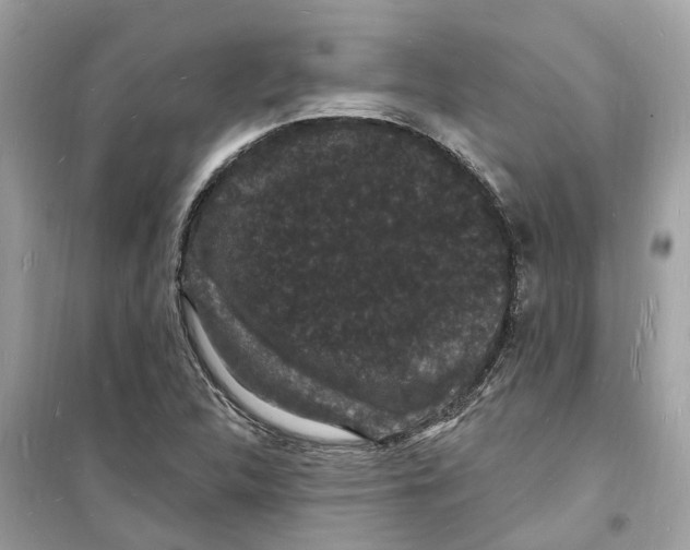 X0000098231312200805221702