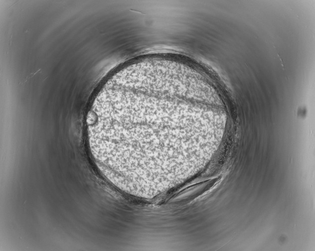 X0000098231313200805221702