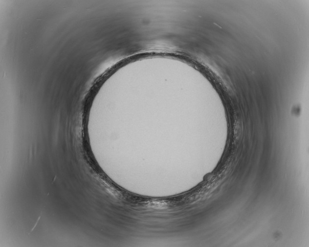 X0000098231315200805221702