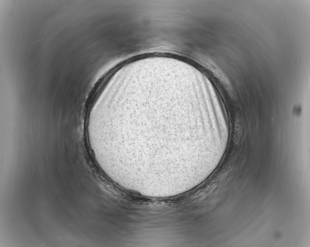 X0000098231316200805221702