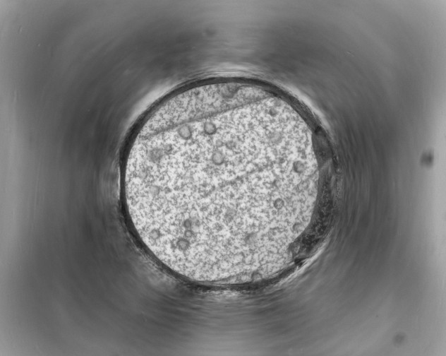 X0000098231317200805221702