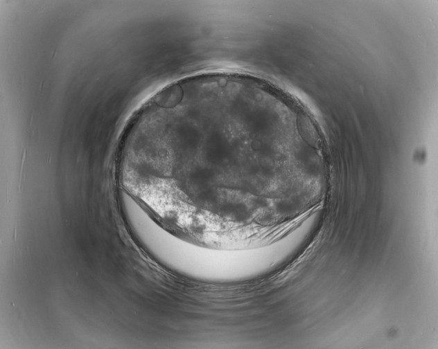 X0000098231318200805221702