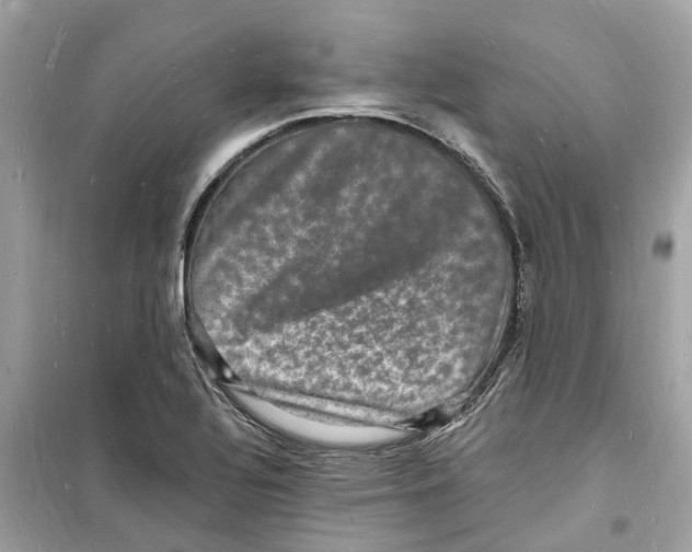 X0000098231320200805221702