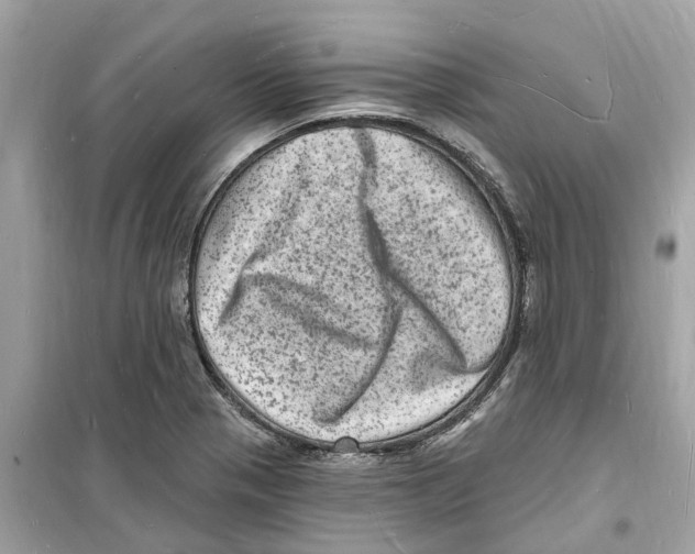 X0000098231321200805221702