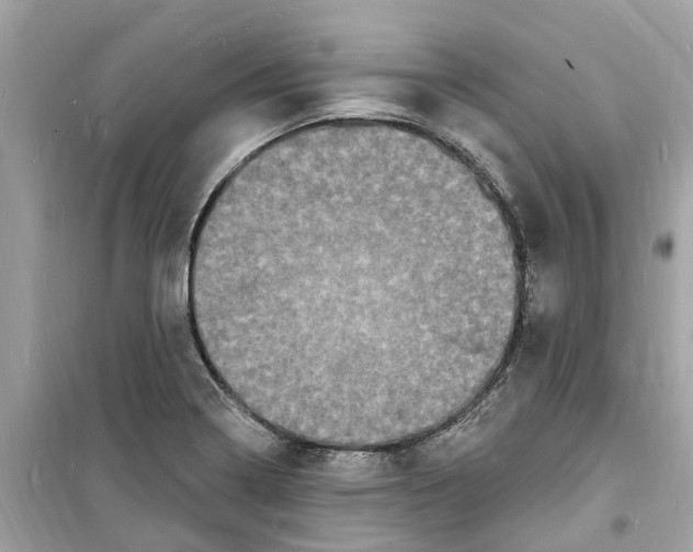 X0000098231322200805221702