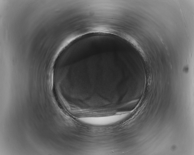 X0000098231323200805221702