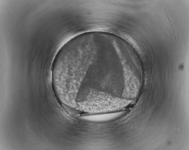 X0000098231324200805221702