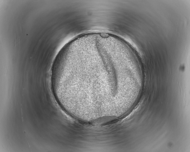 X0000098231325200805221702