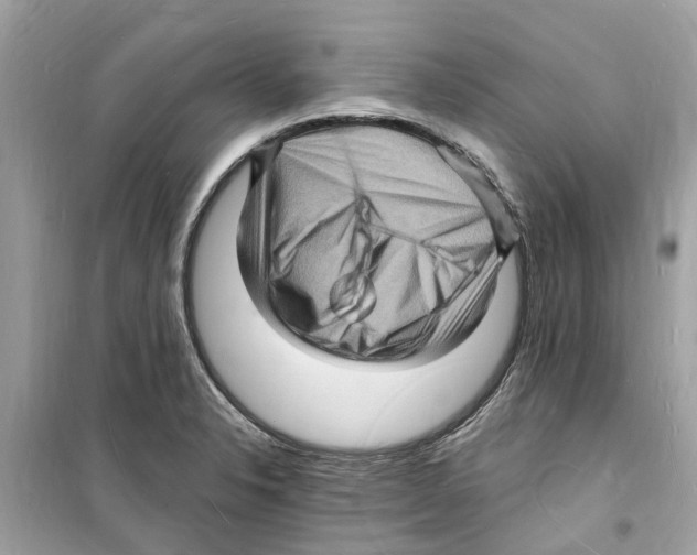 X0000098231326200805221702