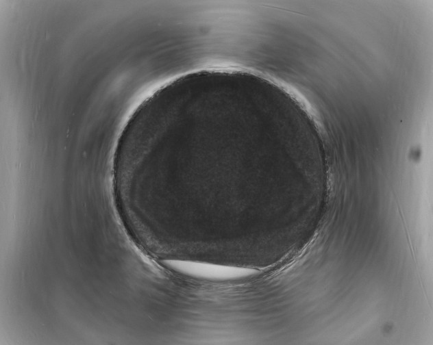 X0000098231327200805221702