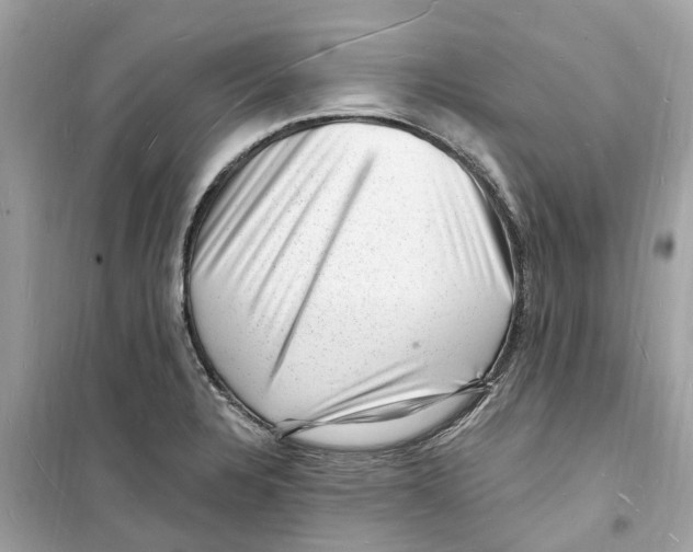 X0000098231328200805221702