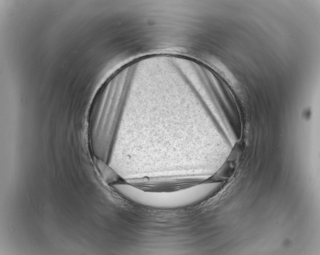 X0000098231332200805221702