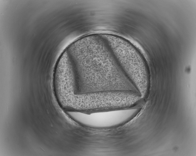 X0000098231333200805221702