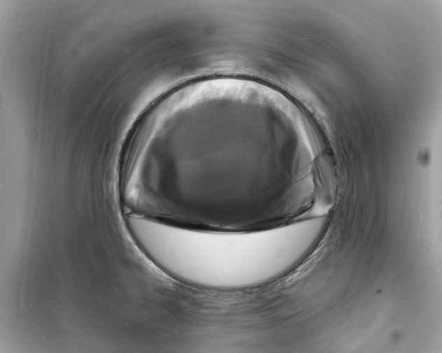 X0000098231334200805221702