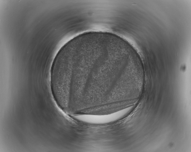 X0000098231335200805221702