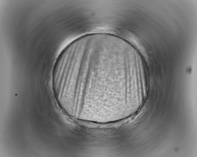 X0000098231336200805221702