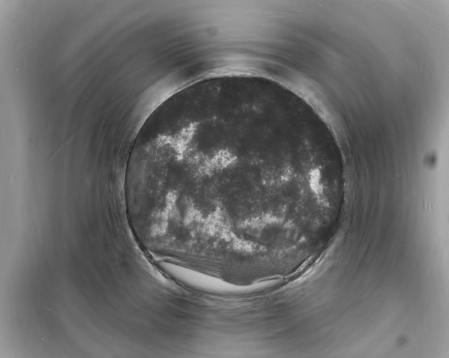 X0000098231337200805221702