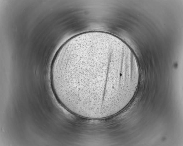 X0000098231339200805221702