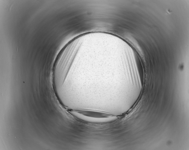 X0000098231340200805221702