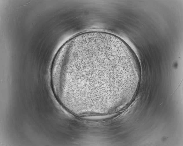 X0000098231341200805221702