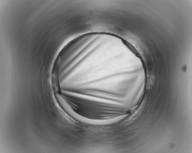 X0000098231342200805221702