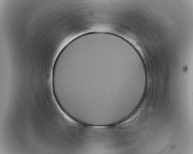 X0000098231343200805221702