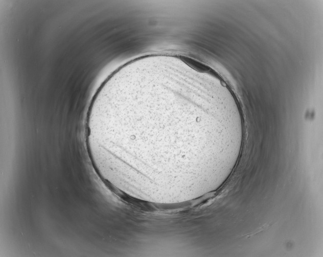 X0000098231344200805221702